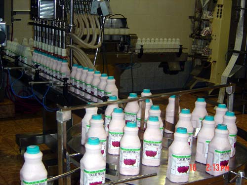 DISEÑO Y DESARROLLO DE PROCESOS: PROCESO DE ELABORACION DE YOGURT